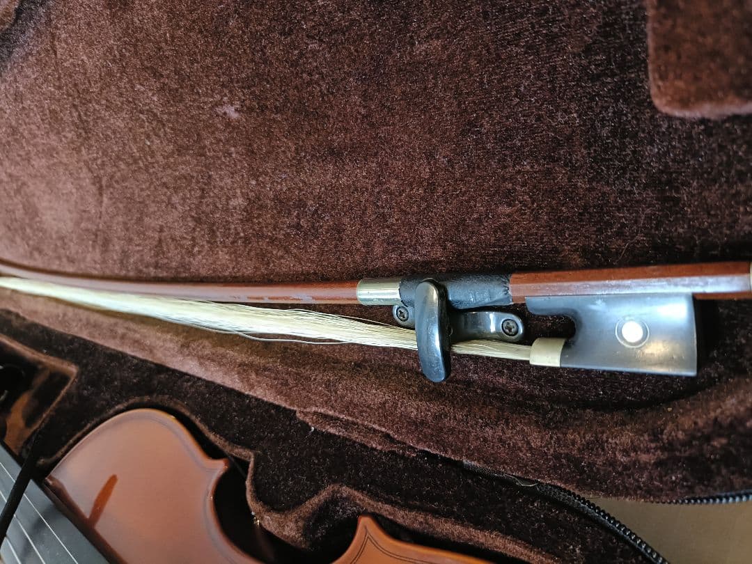 Carlo giordano ヴァイオリン1/2サイズ 2017年製 VS-1