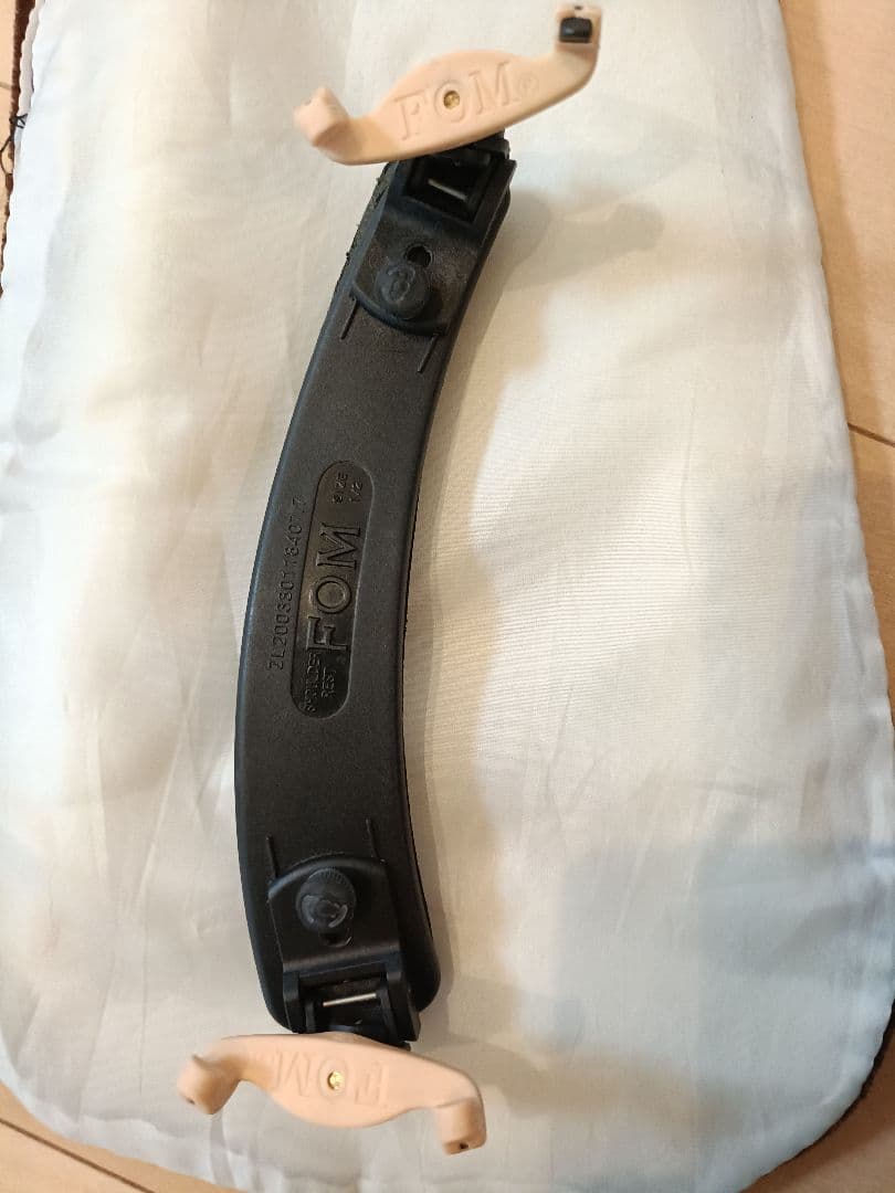 Carlo giordano ヴァイオリン1/2サイズ 2017年製 VS-1