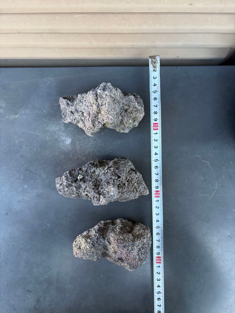 ADA雲山石5個セット