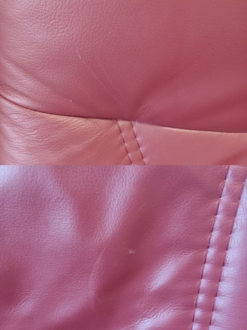 エコーネス ストレスレスチェア  本革リクライニングソファ