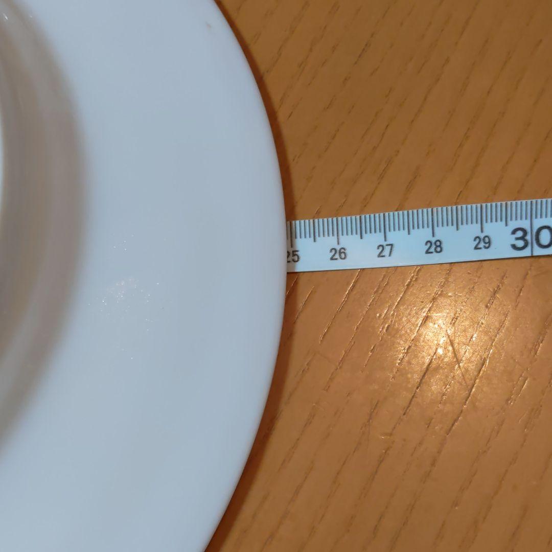 リチャードジノリ・25cm皿