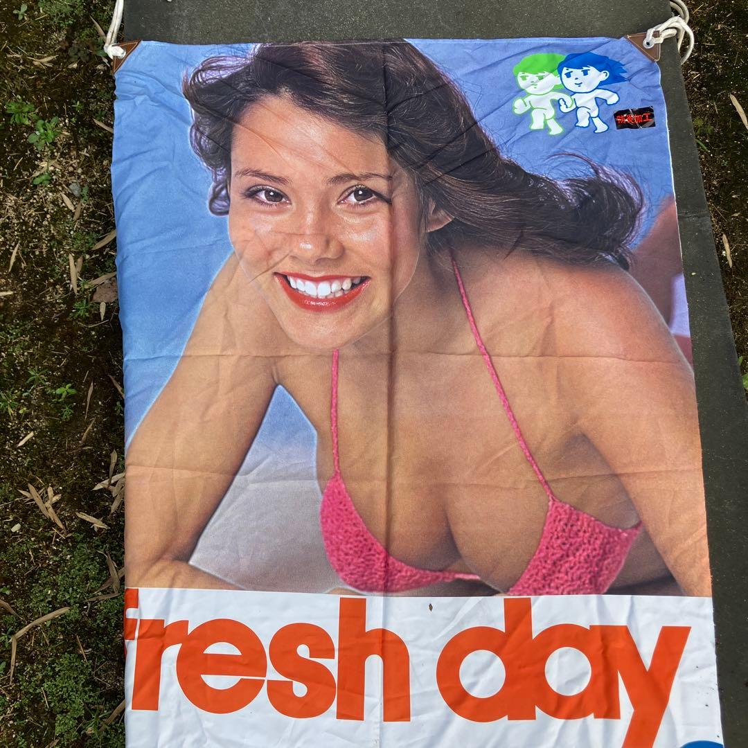 トヨタ純正カーエアコン のぼり 超巨大 全長約4.9m 昭和レトロ 水着　美女