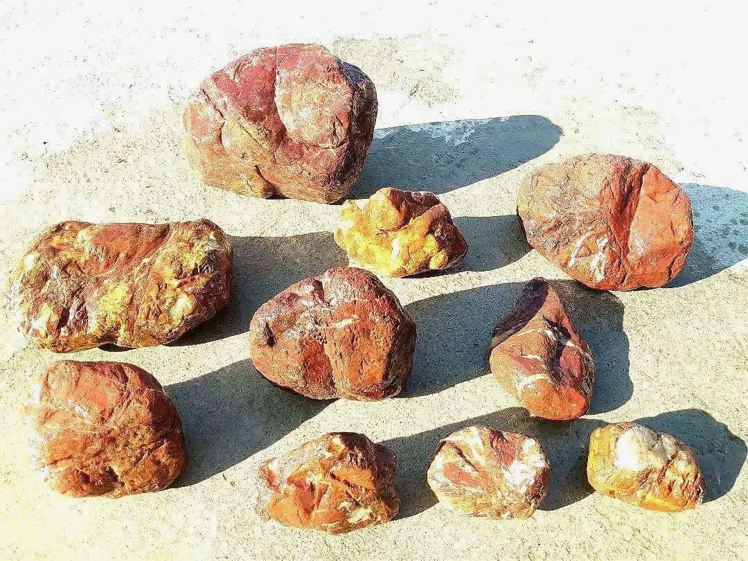 京都産 赤石 紅加茂石 10石 25kg 庭石 花壇 加茂七石 観賞石