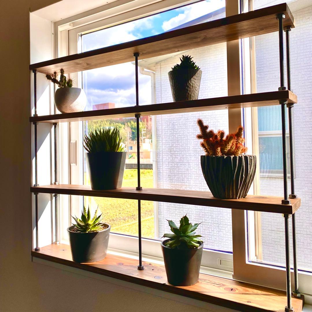 TVいにて紹介⭐︎窓枠ラックtasty 2 窓インテリア　グリーンカーテン