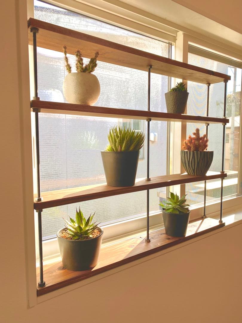 TVいにて紹介⭐︎窓枠ラックtasty 2 窓インテリア　グリーンカーテン