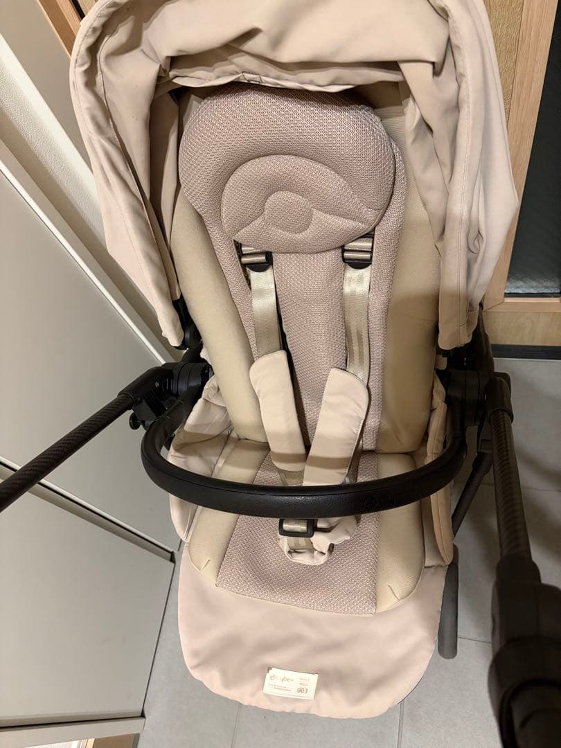 メリオカーボン　2022 ベージュ　サイベックス