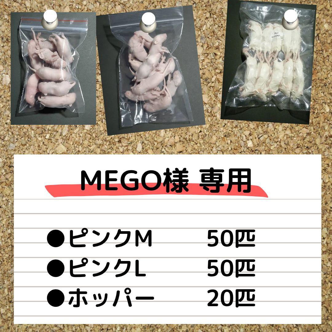 【MEGO】国産冷凍マウスピンクＭ50匹、ピンクL50匹、ホッパー20匹