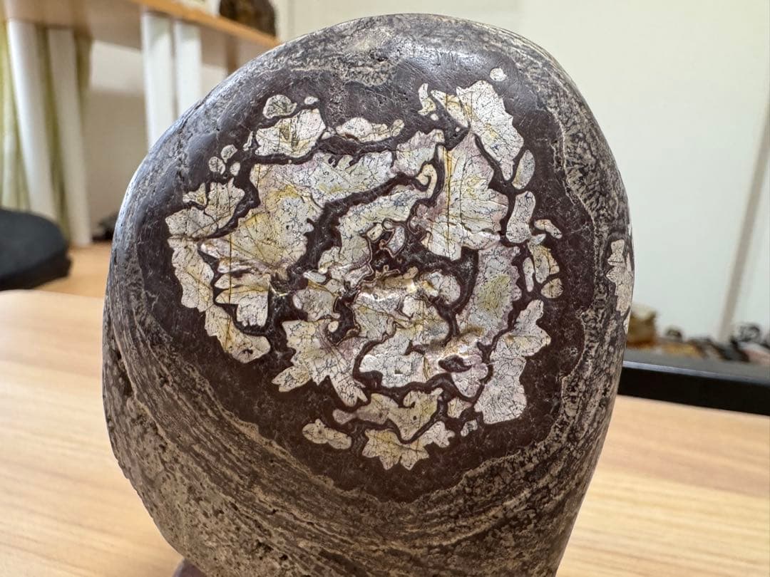 鑑賞石 観賞石 菊花石 花紋石 水石 盆石 自然石 天然石 パワーストーン