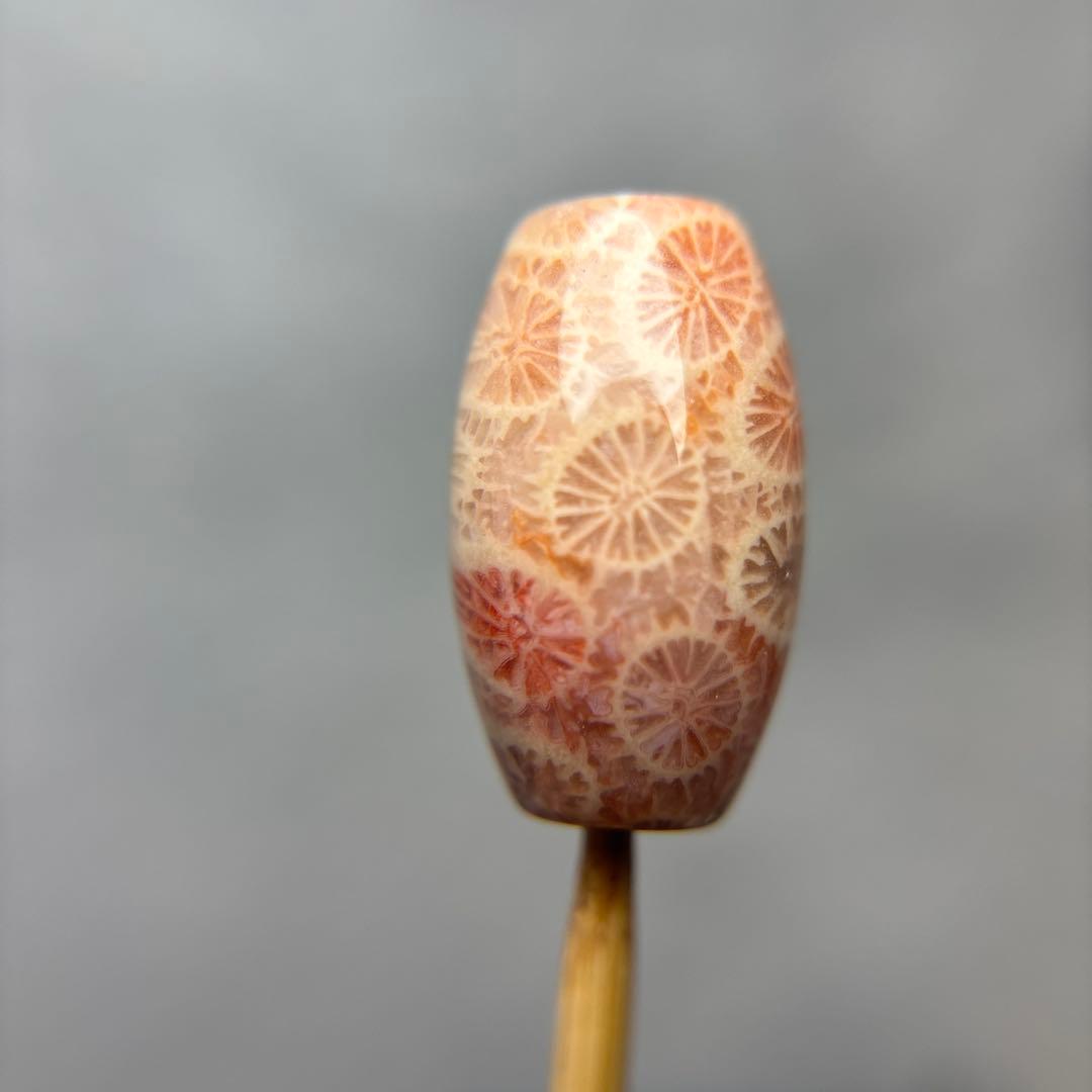 あずきちゃんフォッシルコーラル　天珠　1-326