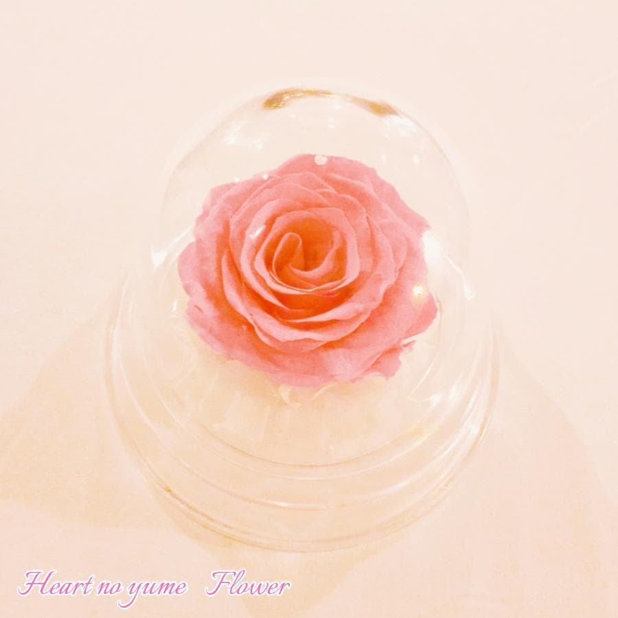 【高級プリザーブドフラワー】ピンクローズ　プリザーブドフラワードーム