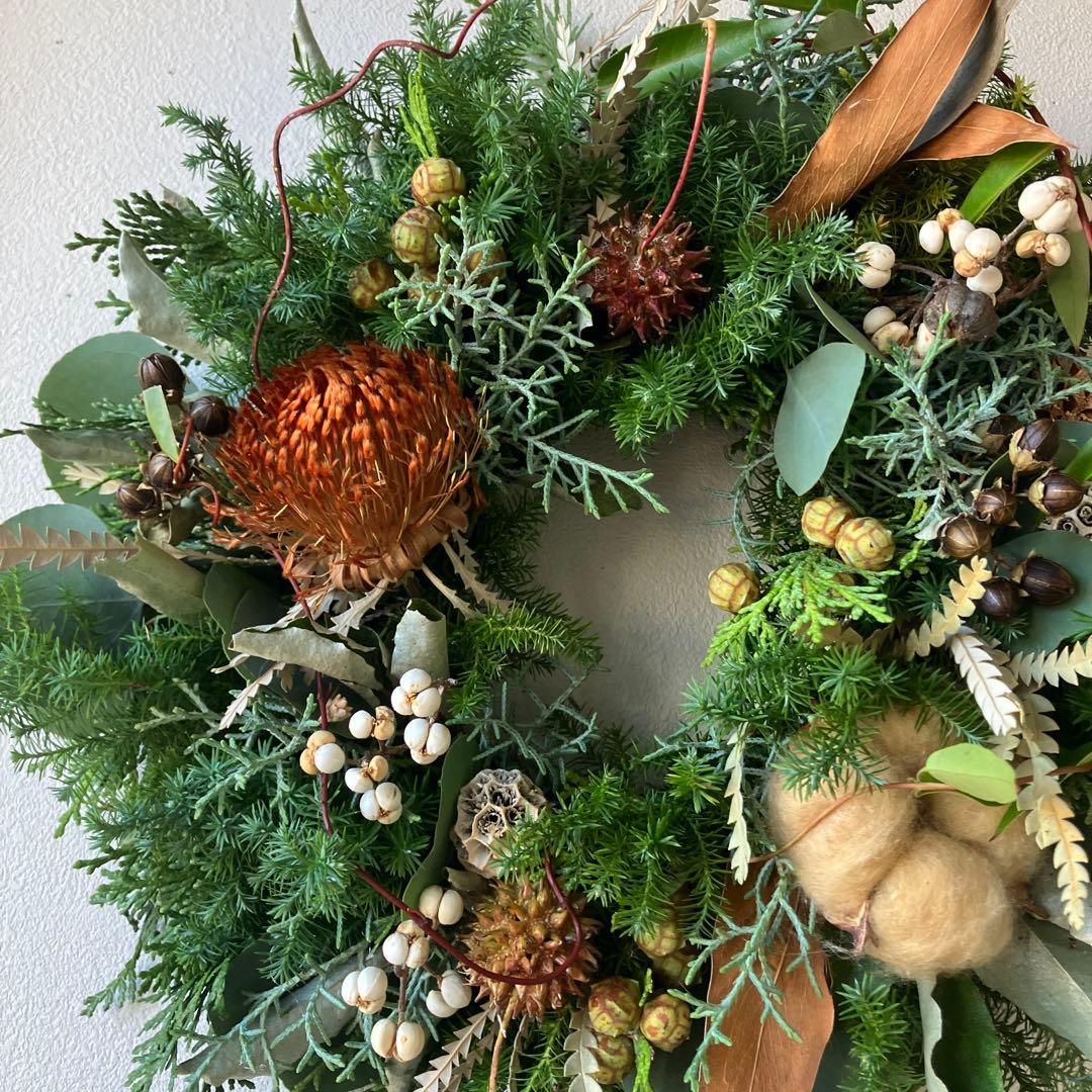 30㎝　ドライアンドラとコットンの大人ブラウンクリスマスリース　グレビレア