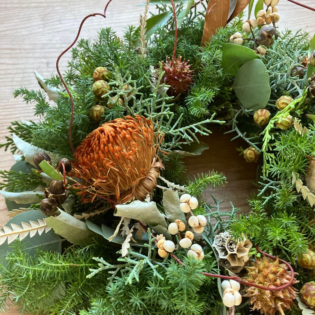 30㎝　ドライアンドラとコットンの大人ブラウンクリスマスリース　グレビレア