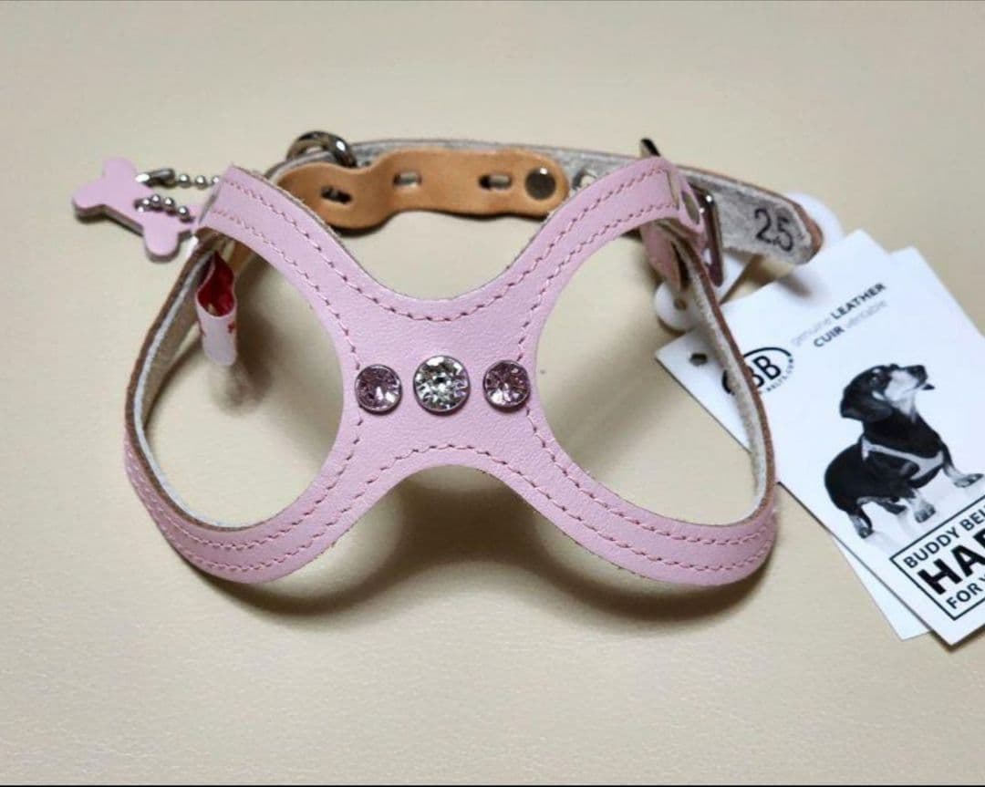 新品タグ付 バディーベルト BUDDY BELTS 2.5号