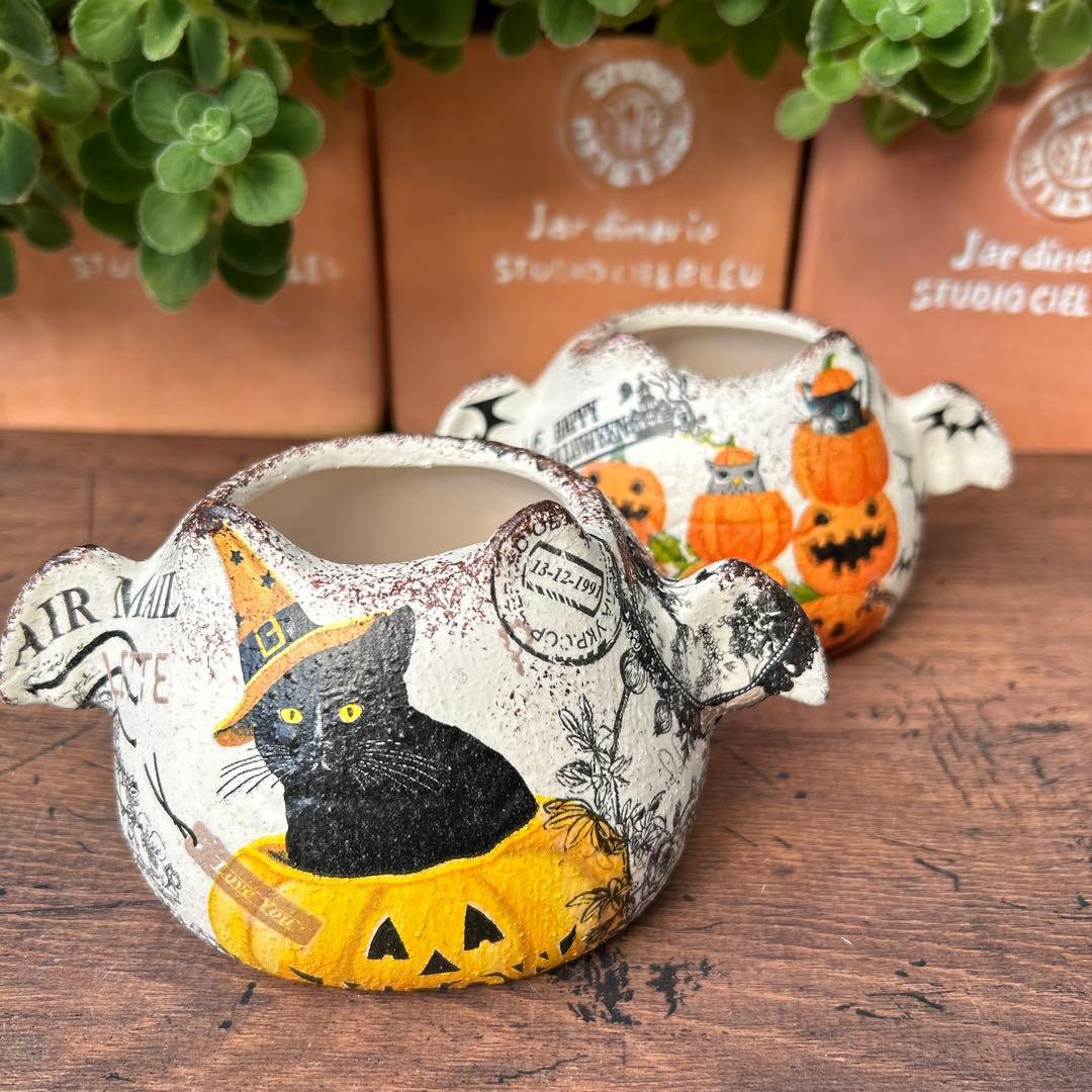 ご購入済み　リメイク鉢　ハロウィン　コウモリ鉢　 黒猫とジャック.オ.ランタン