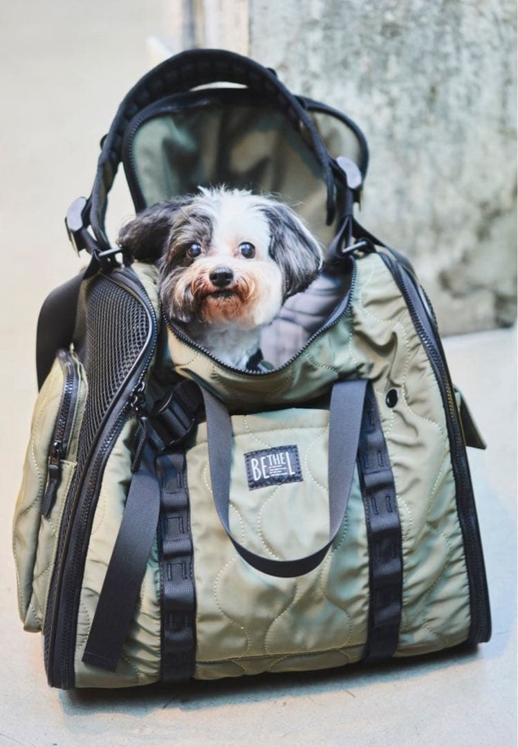 完売品BE THE LABEL 犬用キャリーバッグ オリーブグリーン