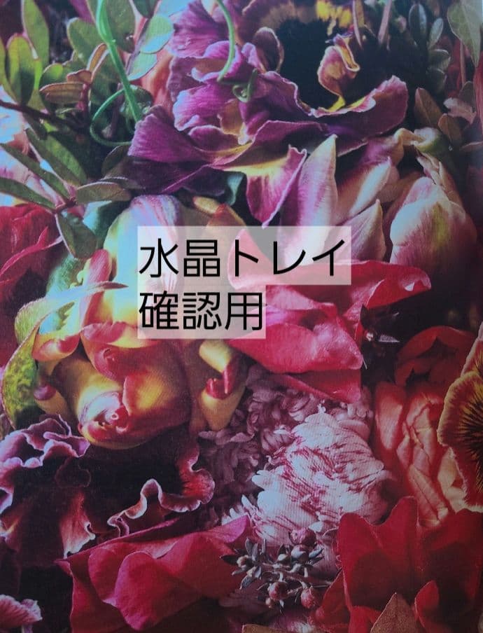 水晶トレイ♡確認用