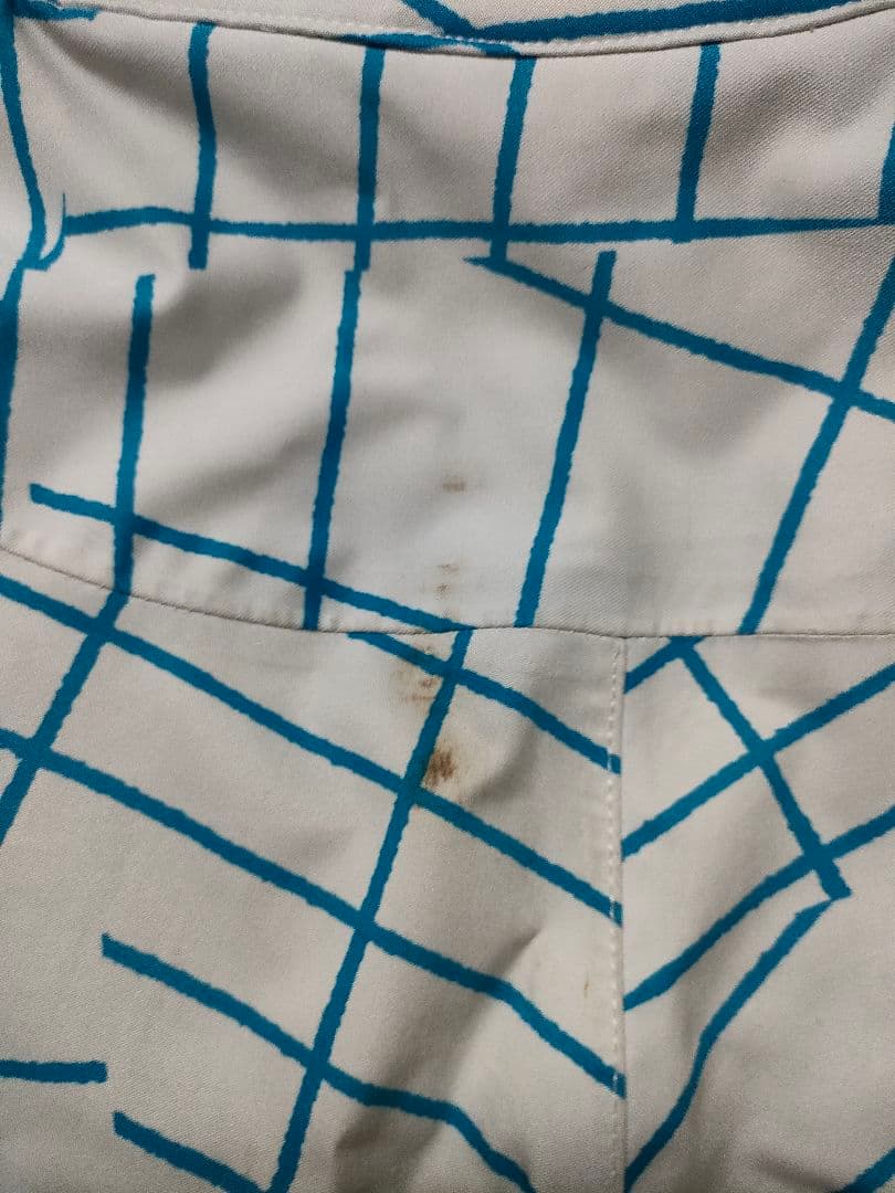 Mizuno スキーウェア 上下 Mサイズ 白