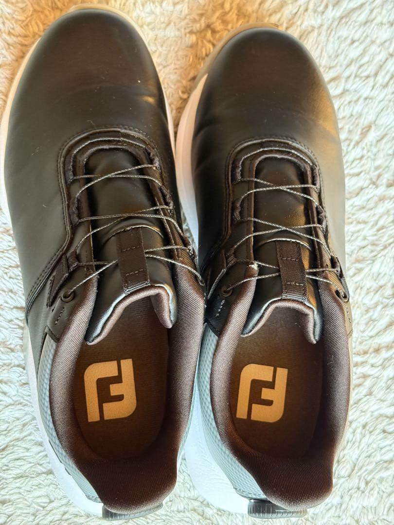 クレマチス様　プロライト BOA 24cm 黒/グレー