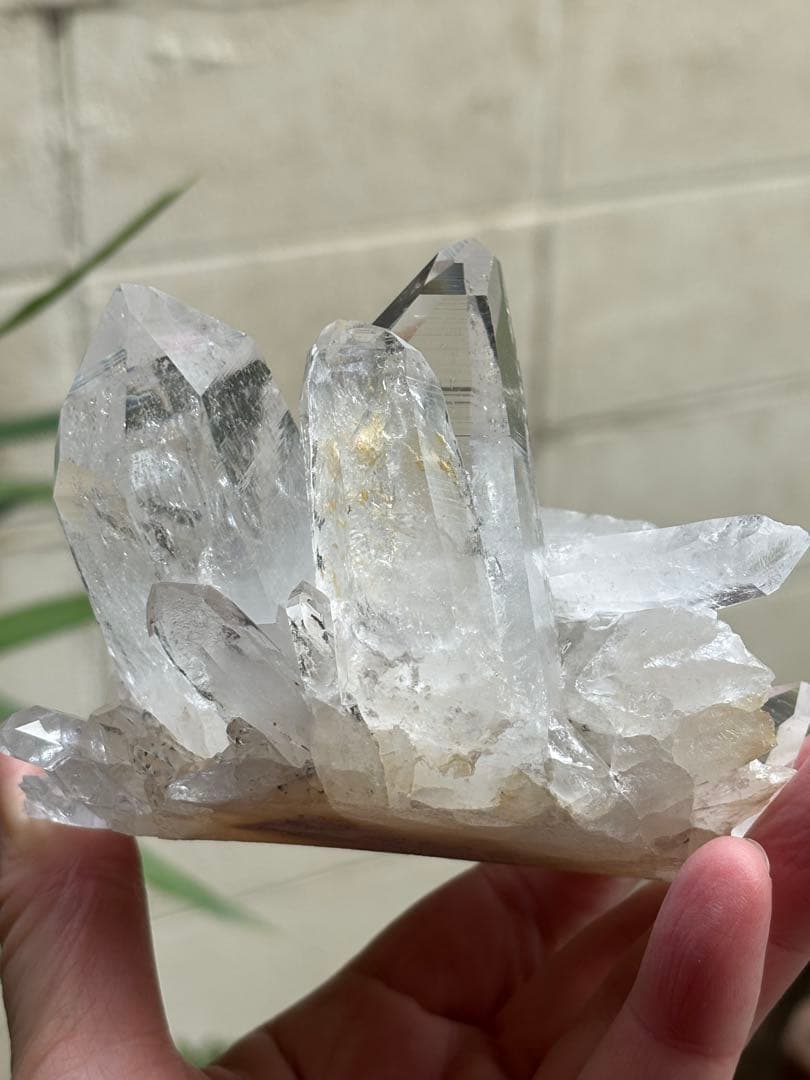 コロンビア　レムリアンクラスター　刺さるような圧巻の透明度　見事　548g.