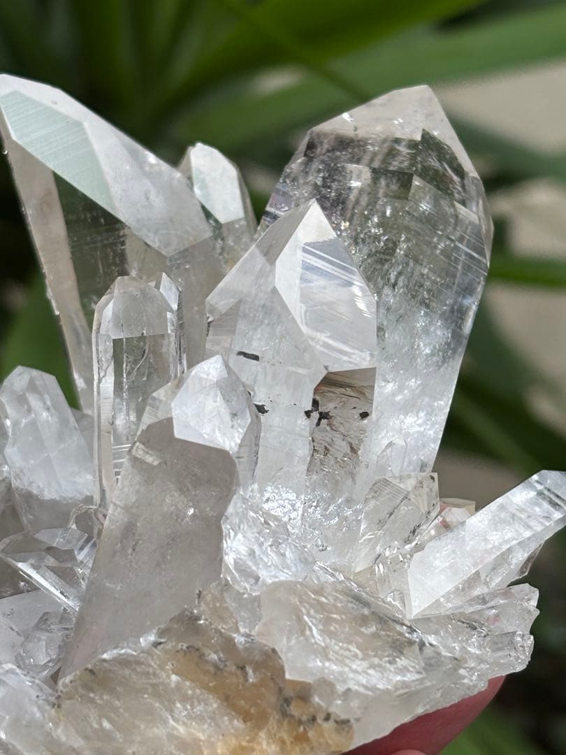 コロンビア　レムリアンクラスター　刺さるような圧巻の透明度　見事　548g.