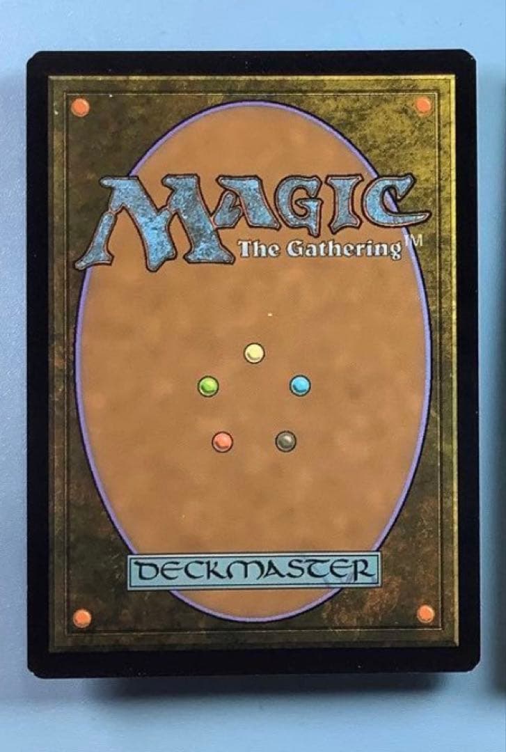 霧深い雨林　 ZNE英語foil