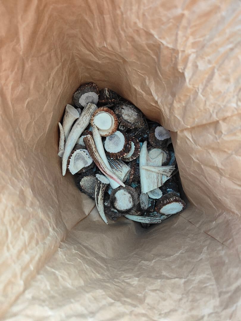 鹿の角　ハンドメイド素材約25kg　北海道エゾシカ