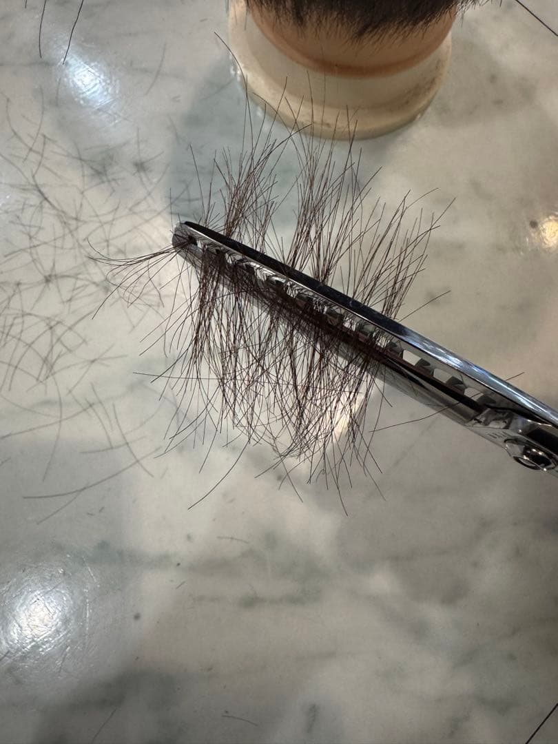 トラックスシザー　SX10