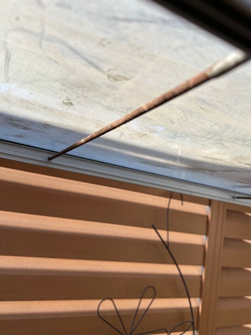 ガラス温室　ガーデニング