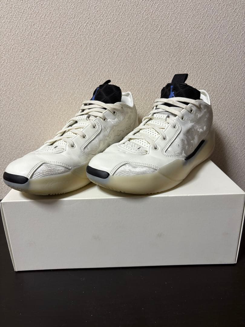 【美品中古】Air Jordan 39 PF 28cm(US10)