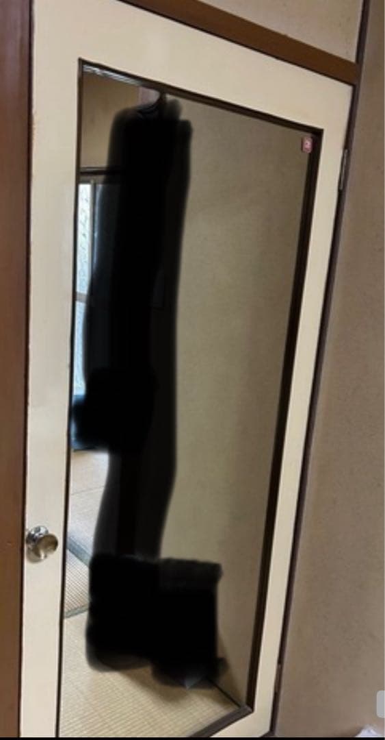 ドアミラー　全身鏡 ベージュとブラウン 木製フレーム