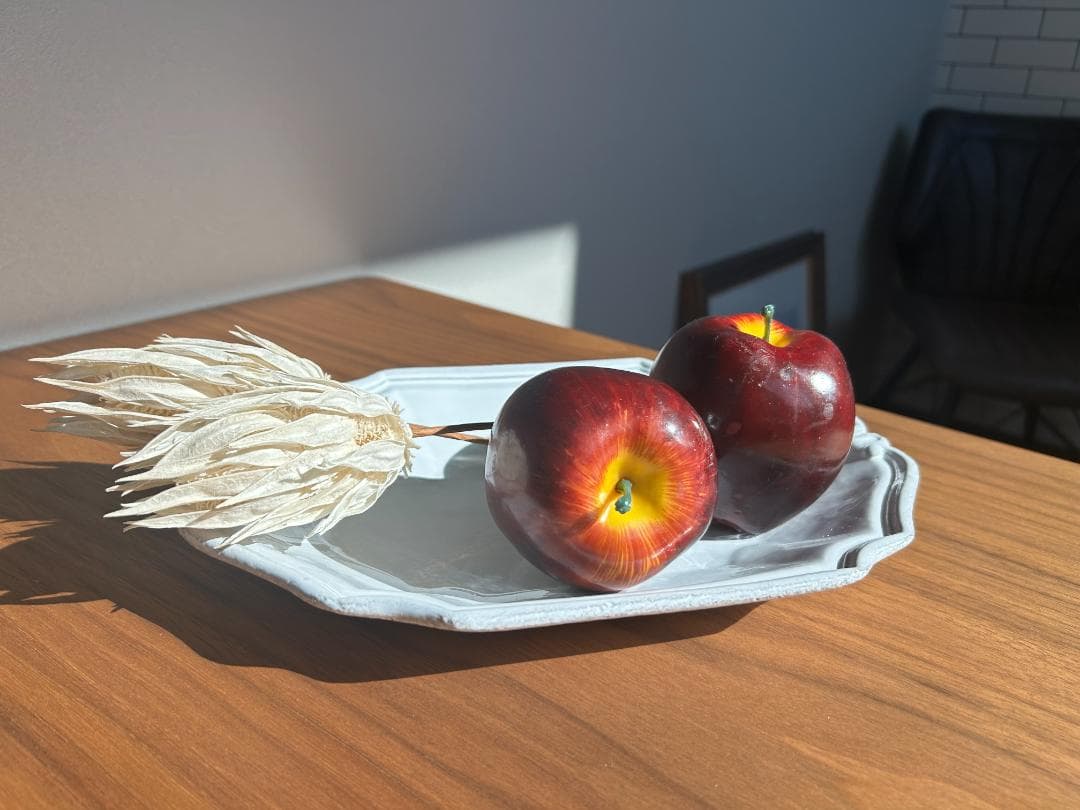 ASTIER de VILLATTE Regence オーバルプラッター