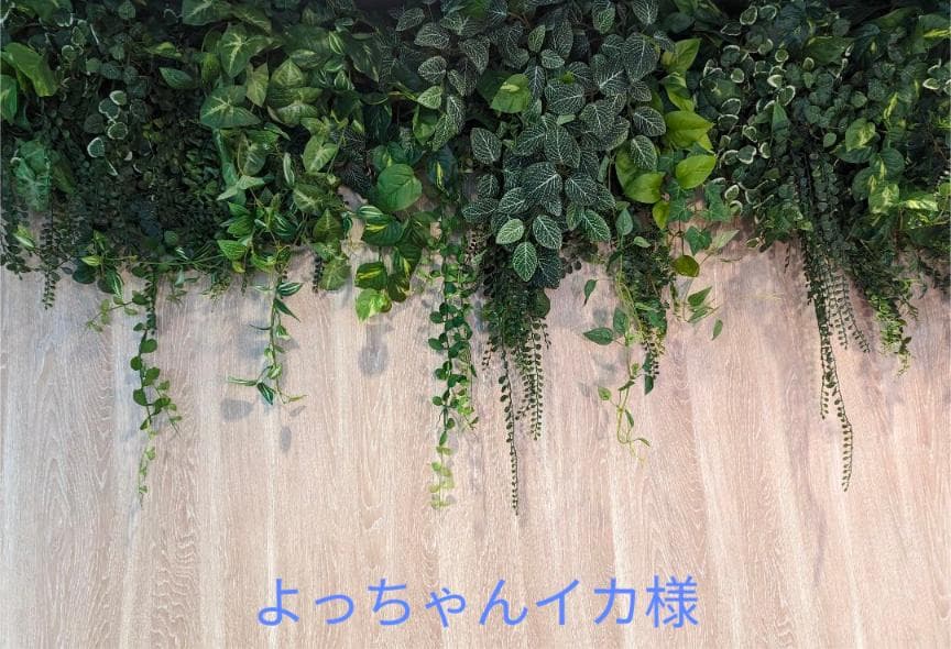 よっちゃんイカ