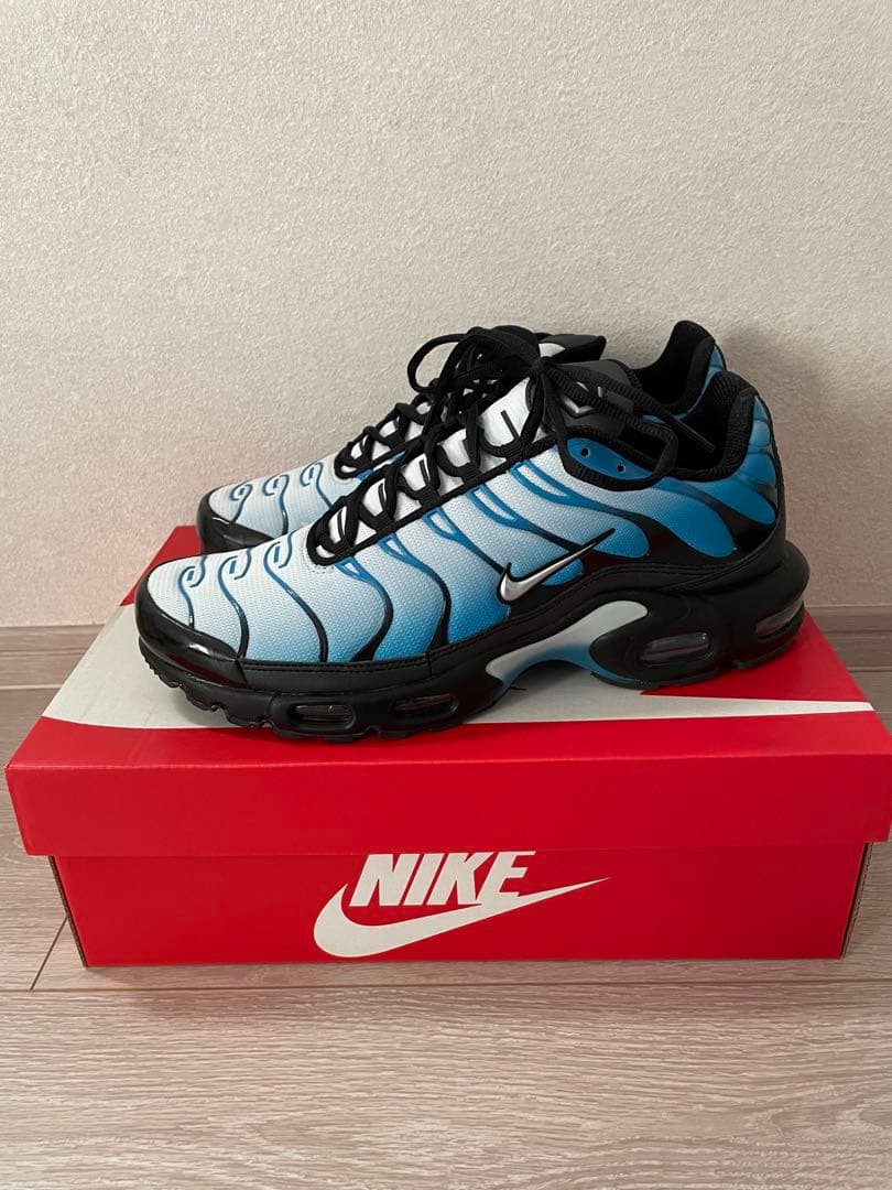 チ*チ様 Nike Air Max Plus 青/黒