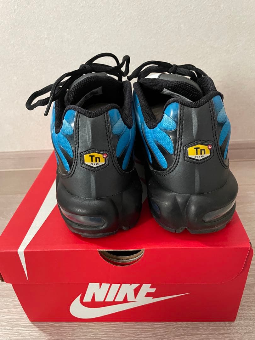 チ*チ様 Nike Air Max Plus 青/黒