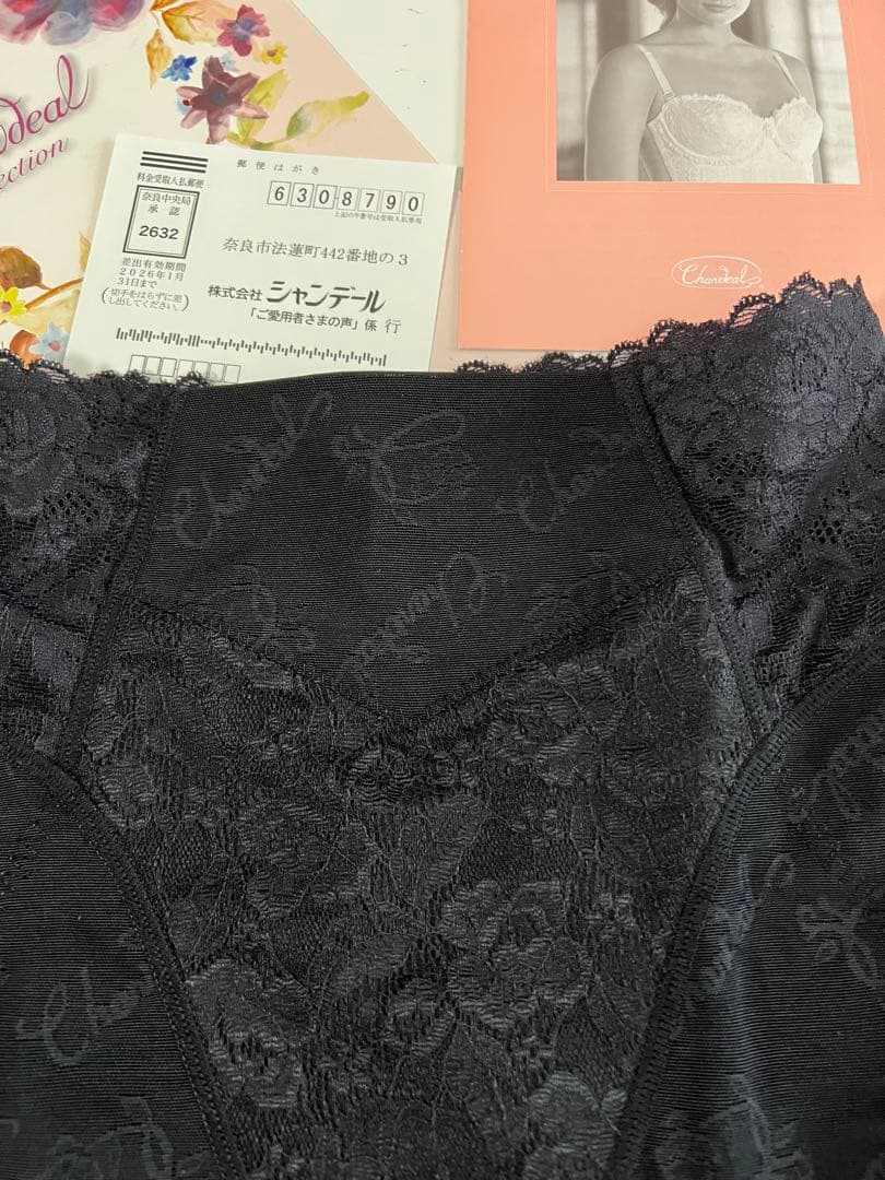 シャンデールNew！ハイエレガント新登場！フルロングガードル70！太ももスッキリ