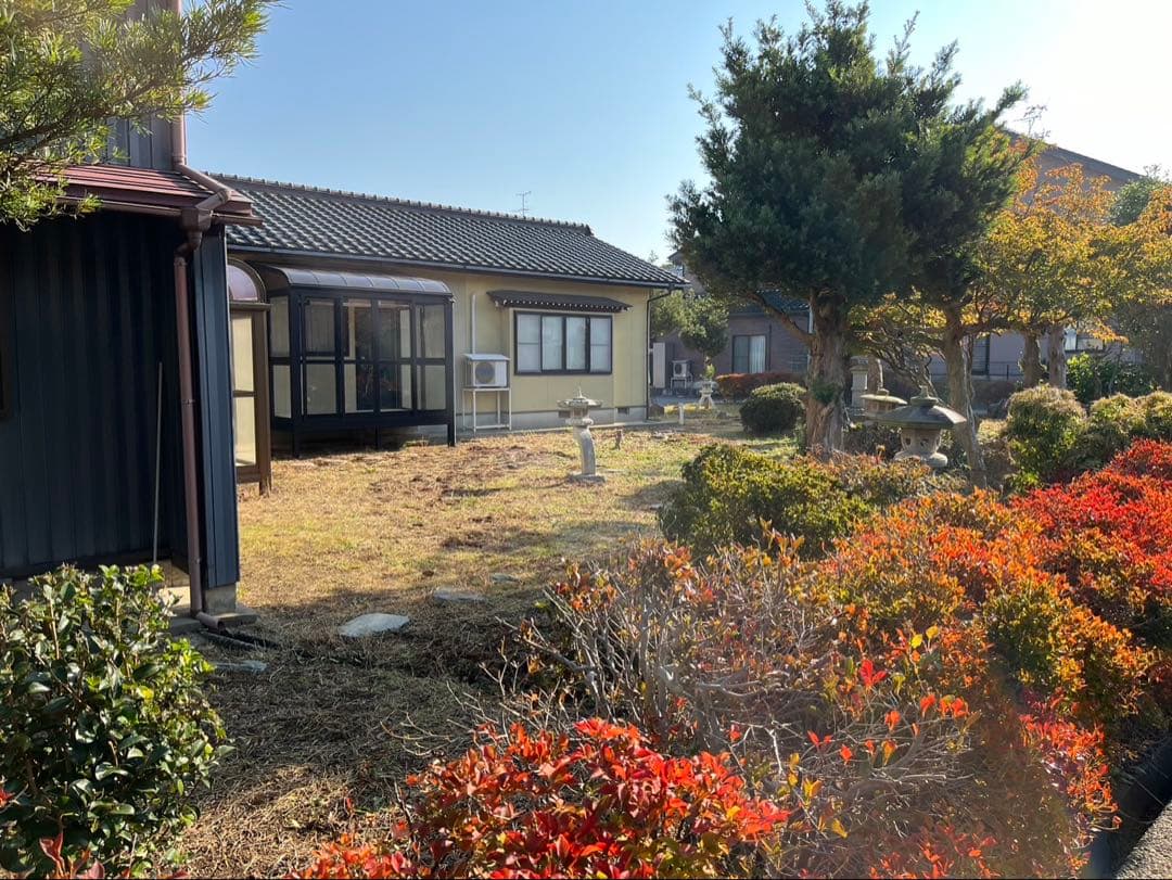 ドウダンツツジ 生垣 バラ売り可【石川県引き取り限定】まとめ割