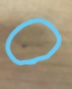 シェーカーボックス 黒 S.Mサイズ stead Axcis.inc