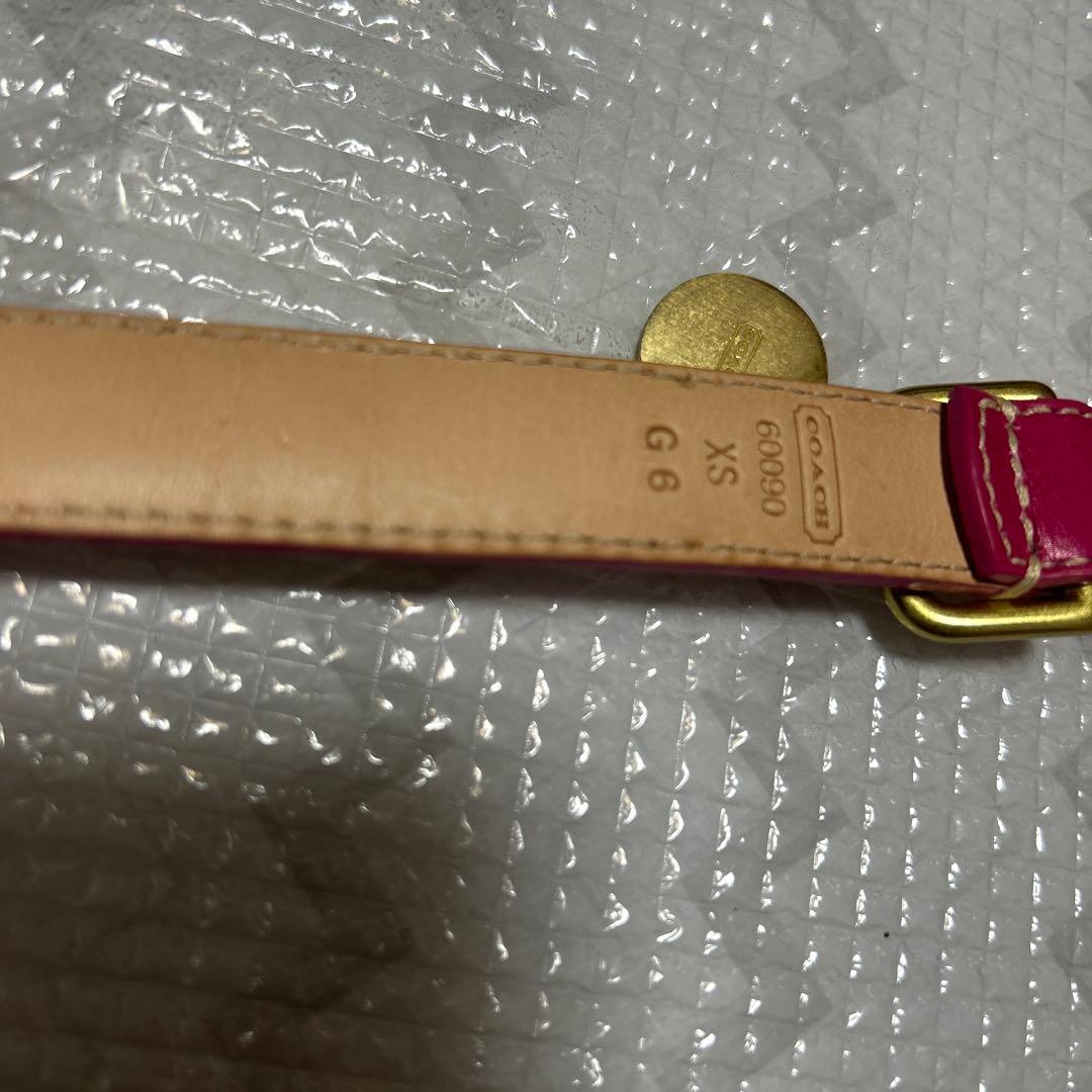 COACH ピンク レザー 首輪とリードセット