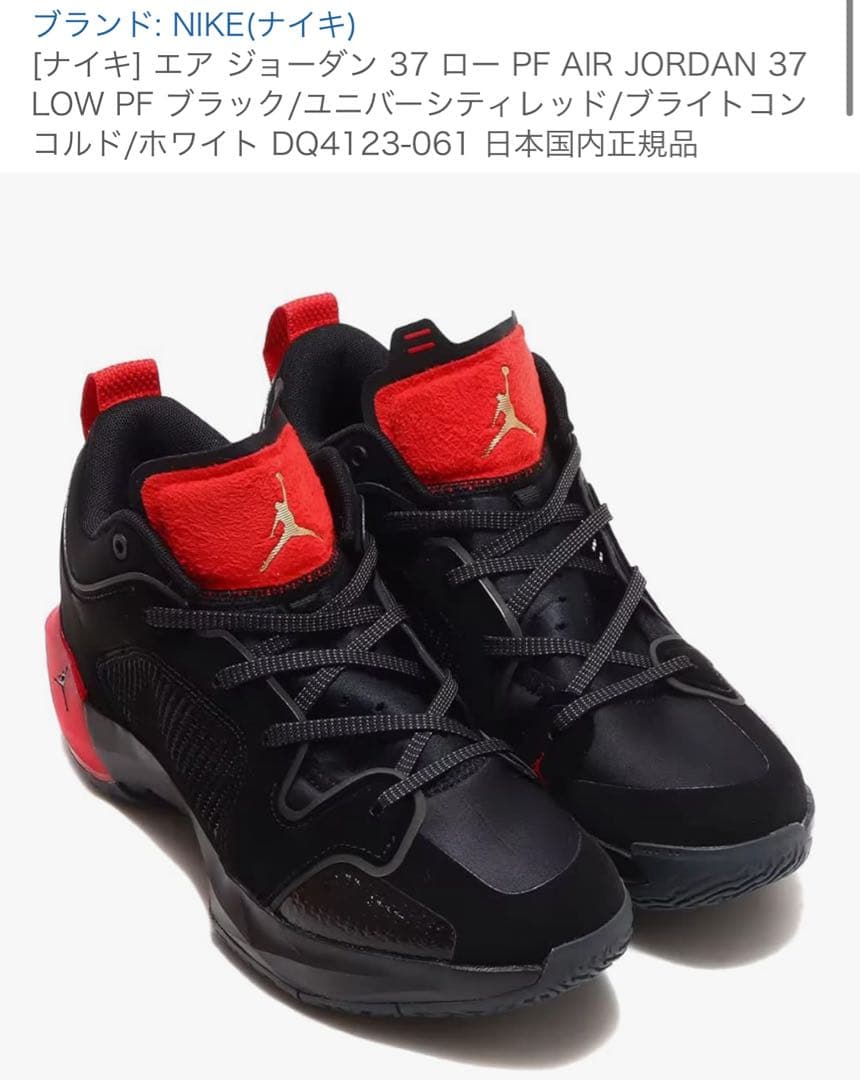 NIKE AIRジョーダン37 LOW US12/30センチ