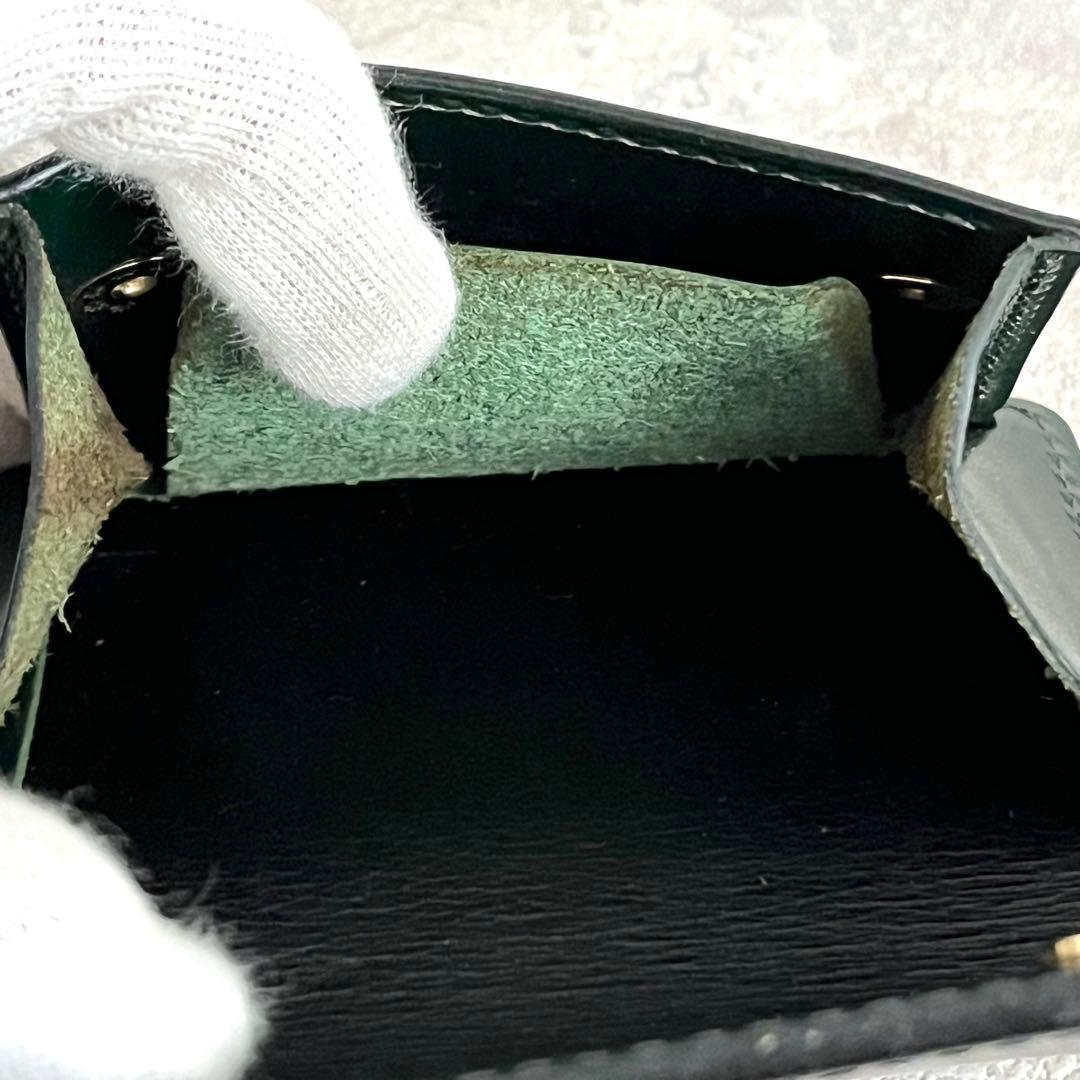 ✨限定カラー✨ワイルドスワンズ タング グリーン ケース サドルプルアップ