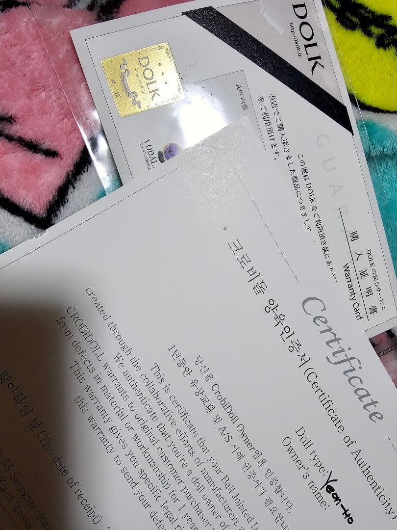 BJD CROBI ドール Yeon-Ho 60cm　キャストドール