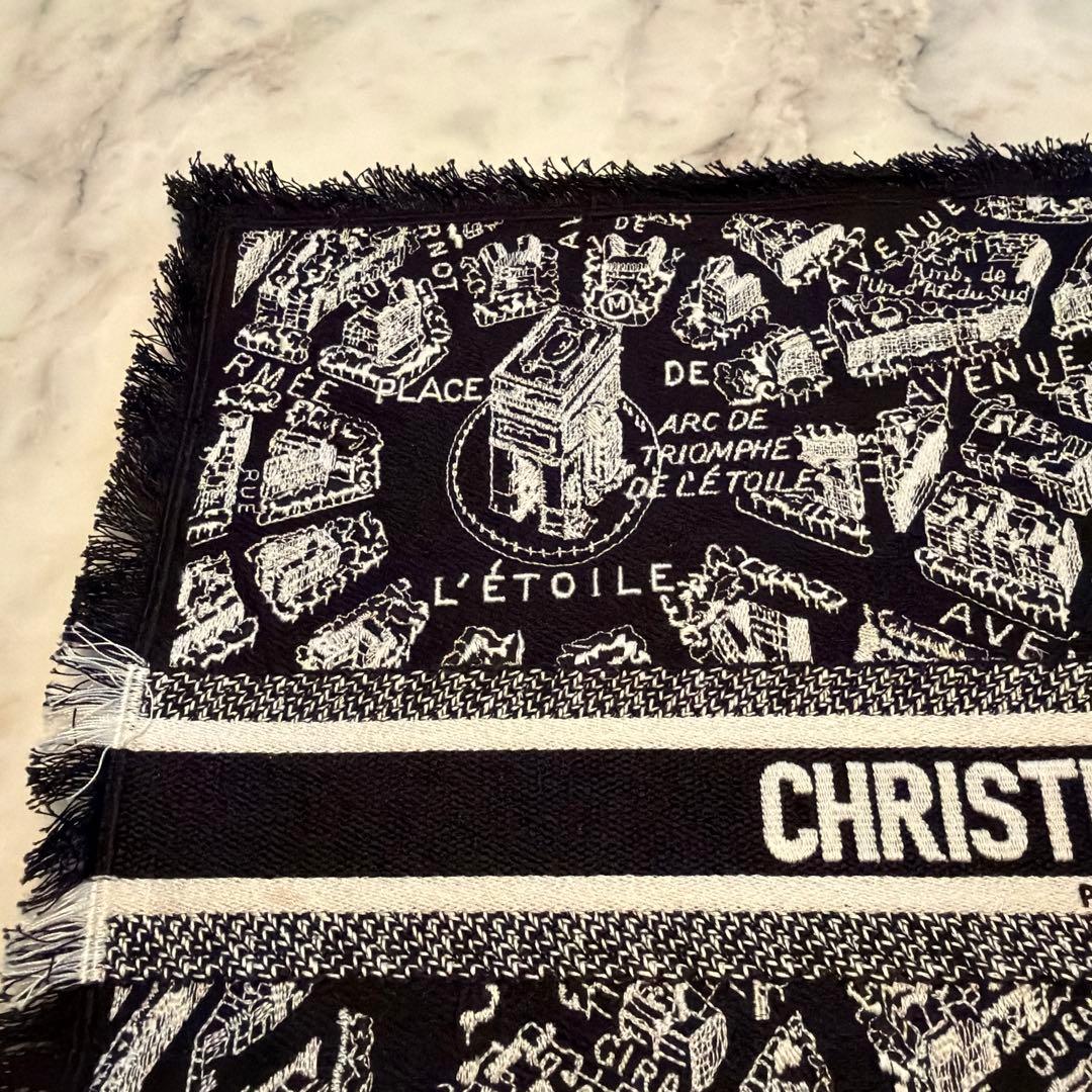 Christian Dior パリ地図 ランチョンマット