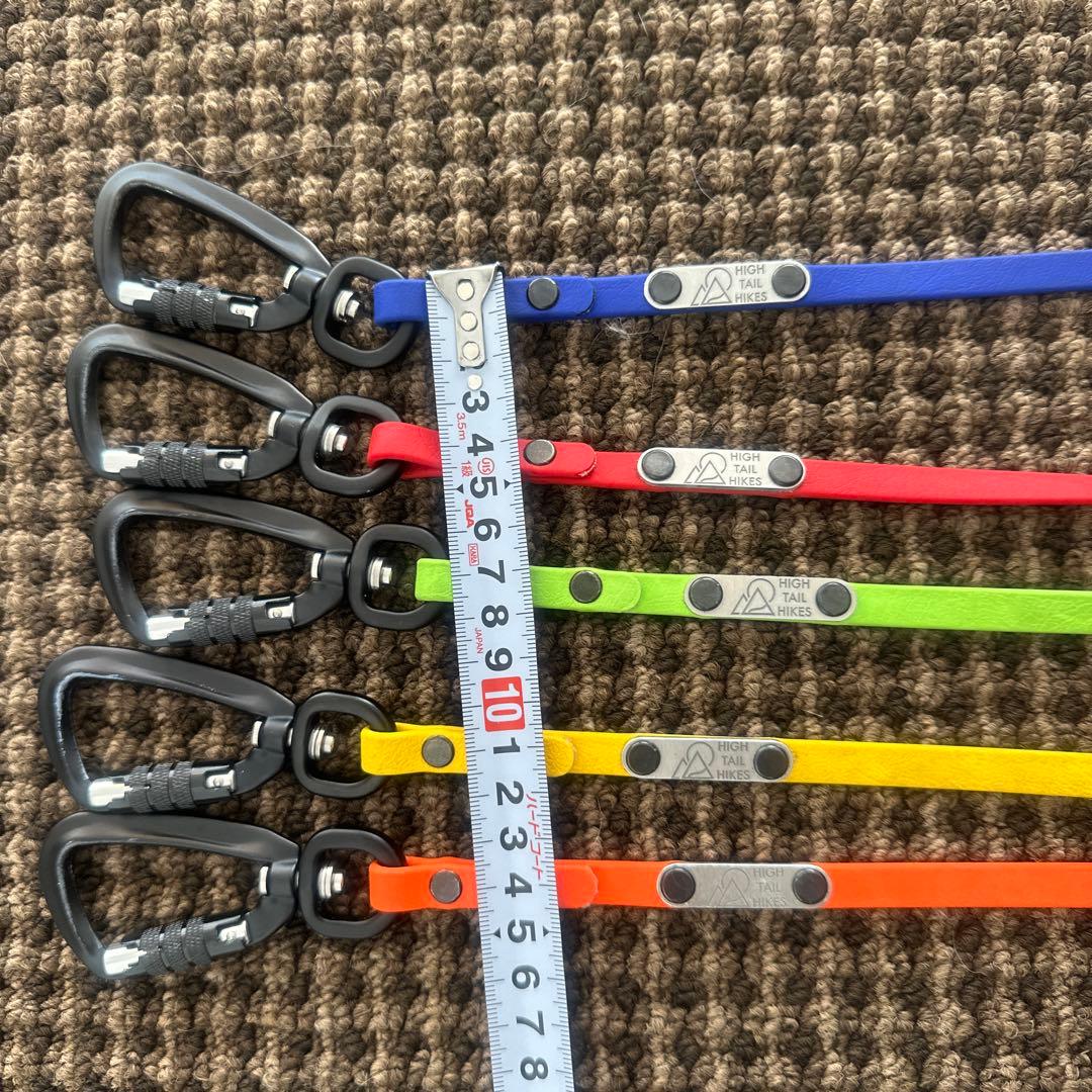 リード3点（赤、青、オレンジ）、TORACリード1点