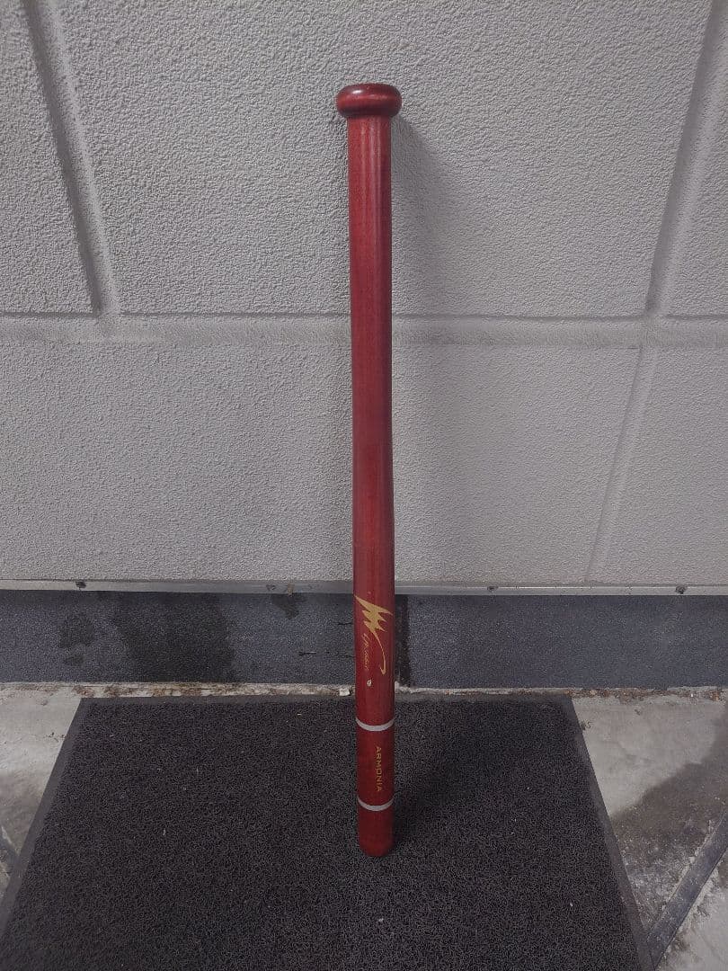 アイピーセレクト 練習用バット Ip Select ESPADAIp2500