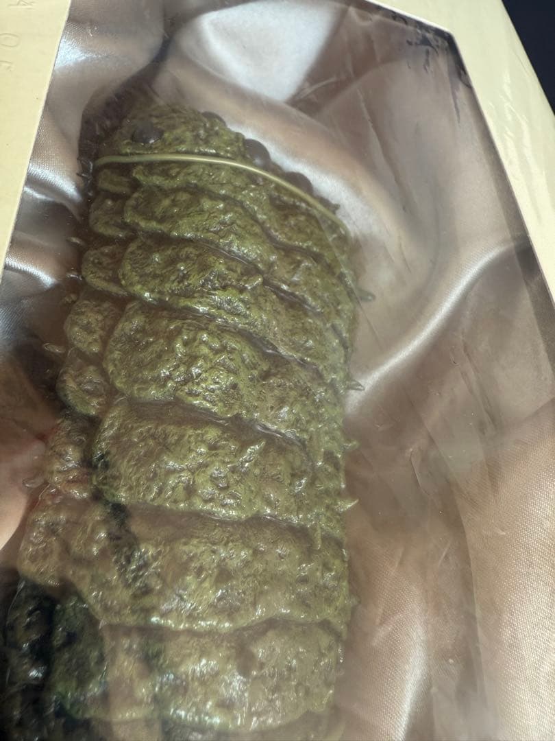 風の谷のナウシカ DVDコレクターズボックス