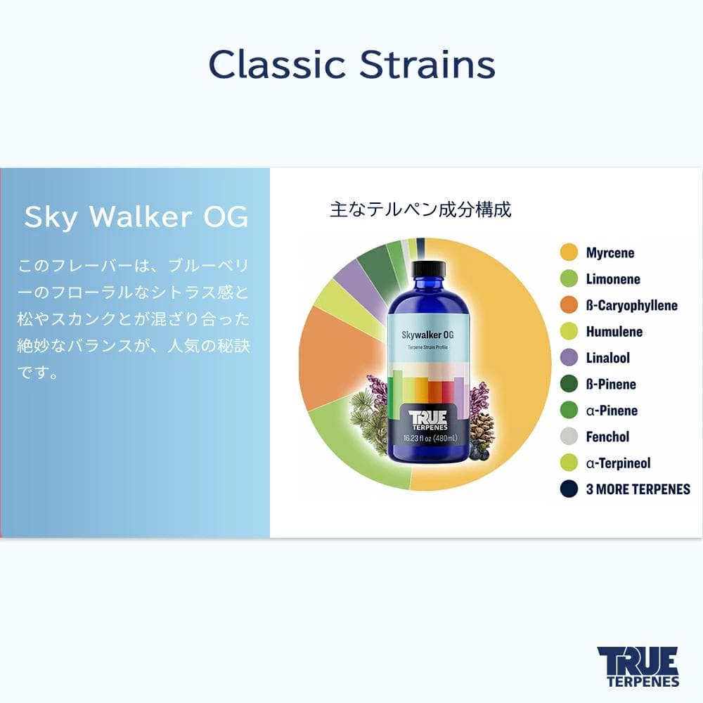 TRUE テルペン 510 CBD CBN CBG 10ml スカイウォーカー