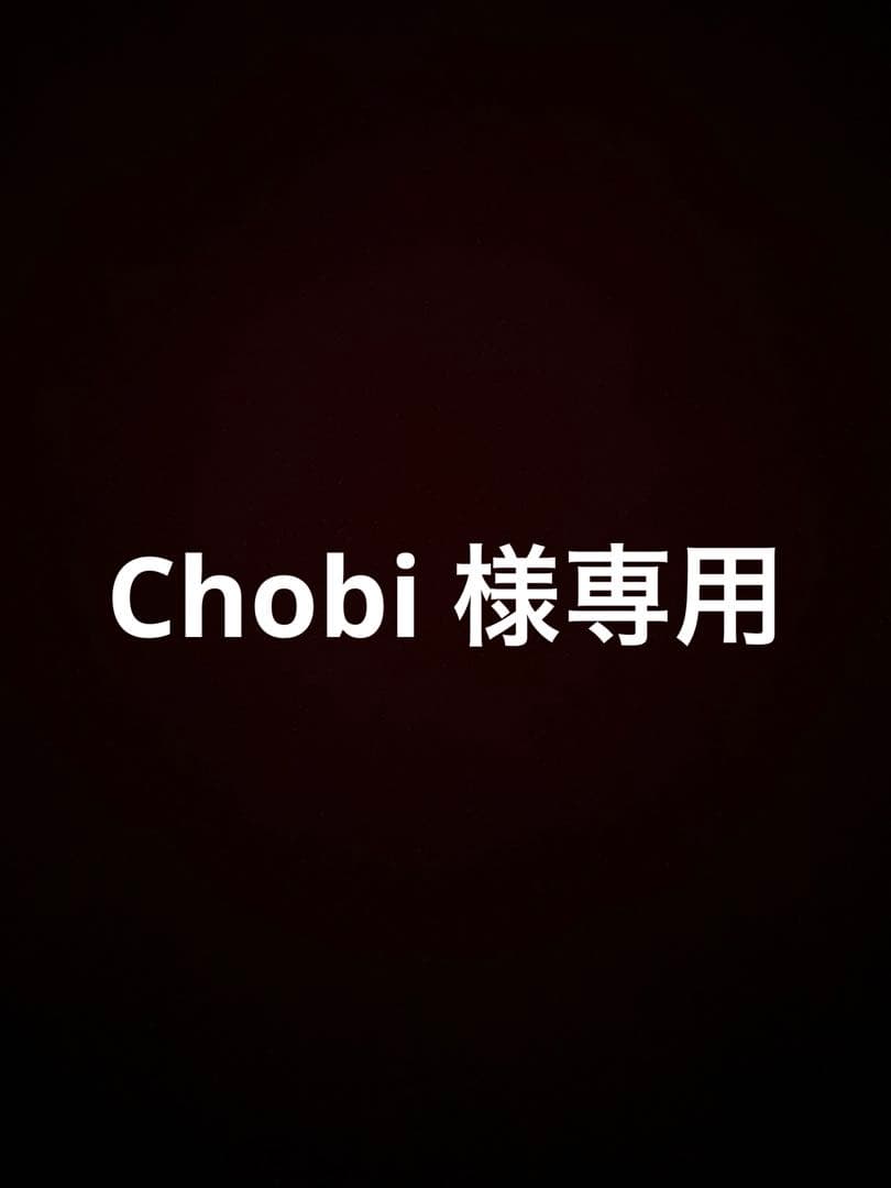 Salomon suspect 140cm スキービンディング