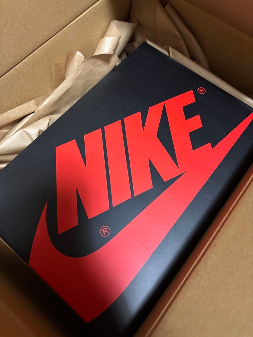 NIKE AIR JORDAN1 レトロ HIGH OG GS 25cm