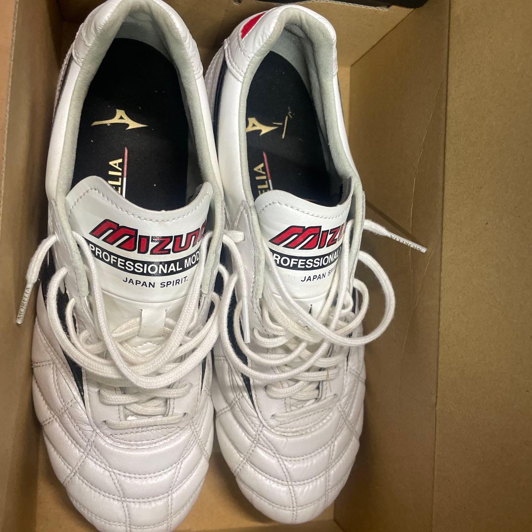 Mizuno Professional Model サッカーシューズ