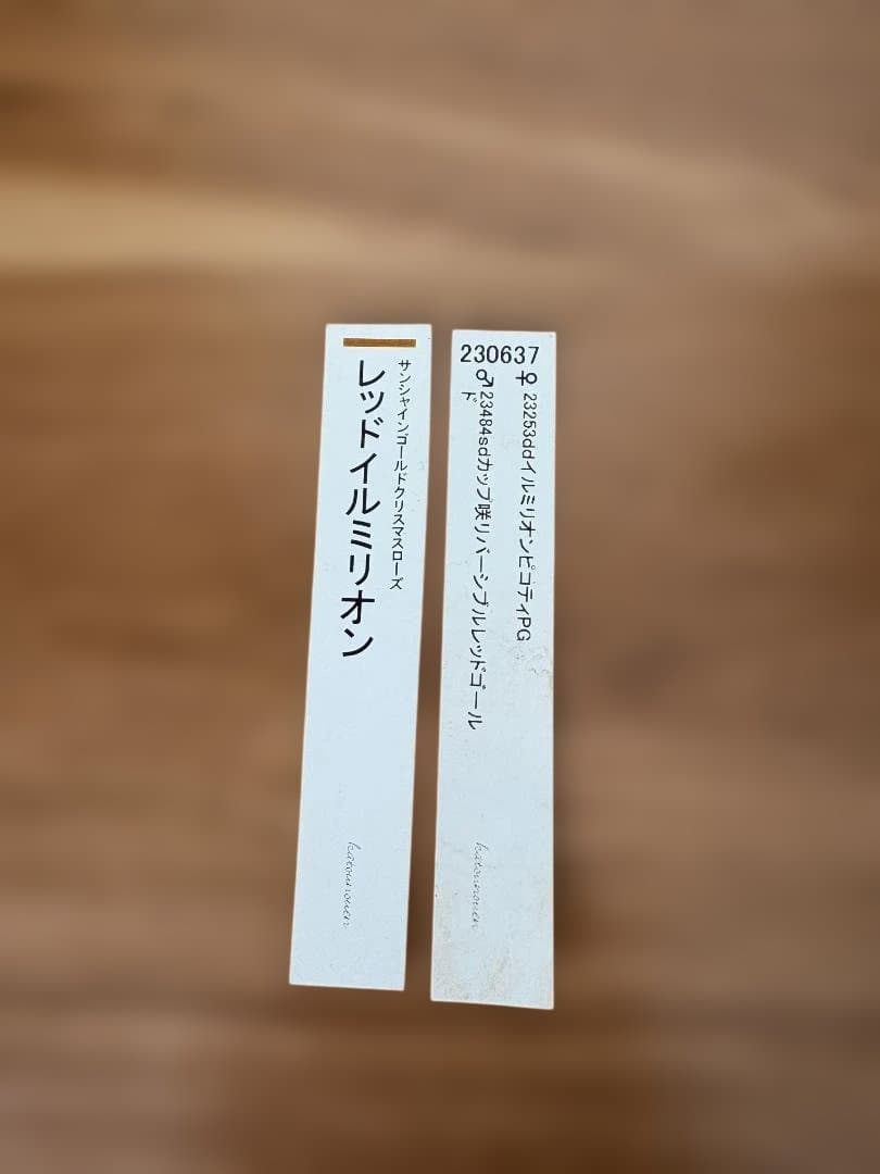 認定　加藤農園　レッドイルミリオン　クリスマスローズ　開花株